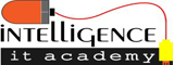 intelligenceitacademy